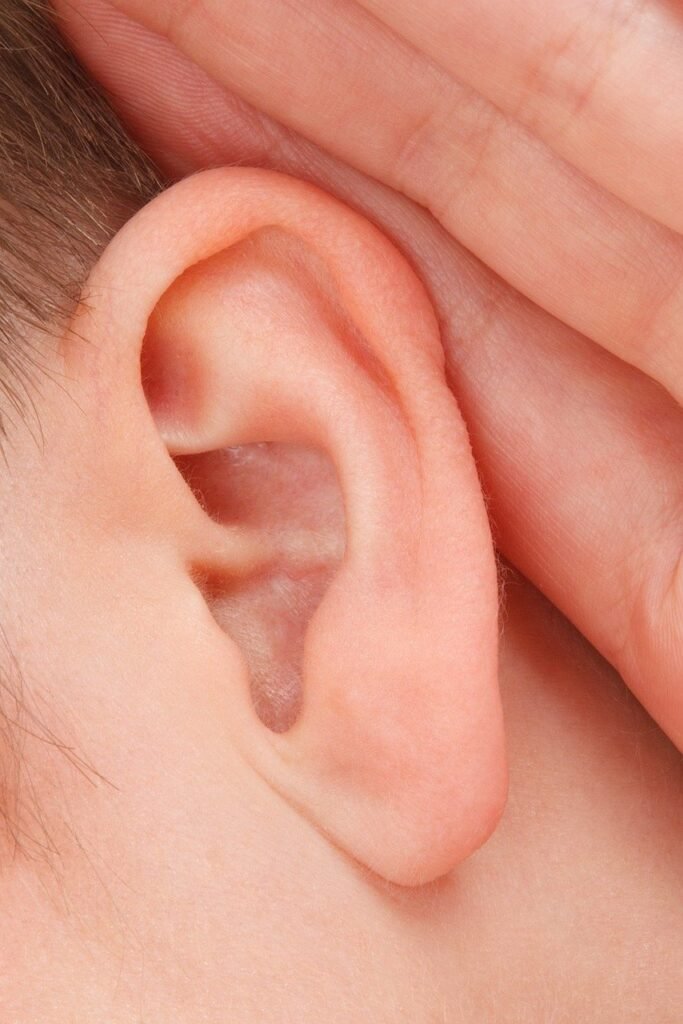 close-up, communication, deaf, ear, female, girl, gossip, hand, head, hear, human, listen, people, sense, silence, sound, orange community, orange communication, orange human, orange closed, deaf, ear, ear, ear, ear, ear, hear, listen