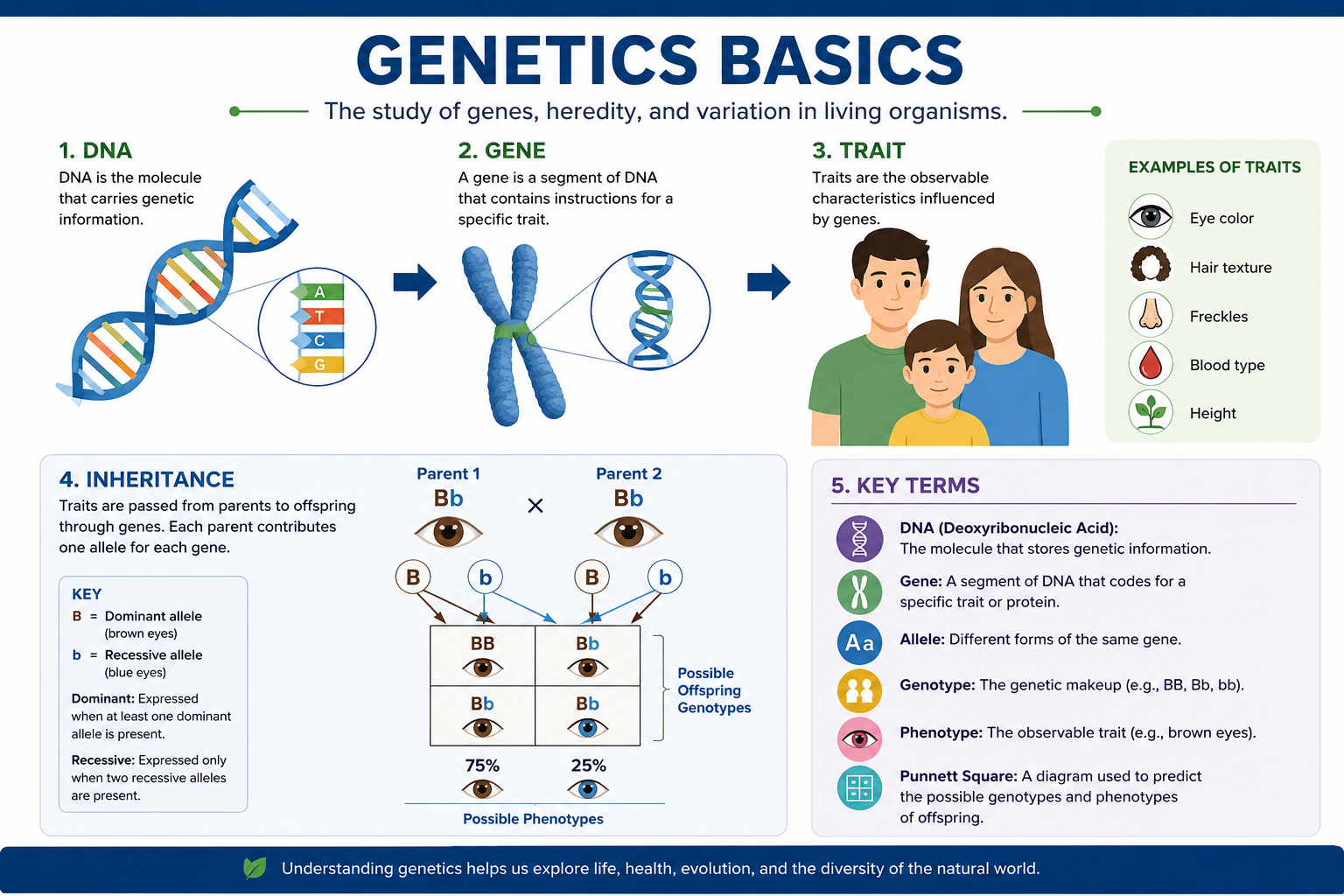 Genetics Basics Course covering DNA, genes, heredity, and molecular biology