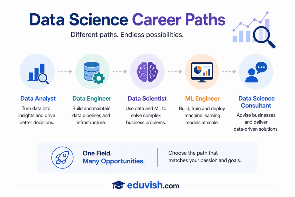 Data science career paths