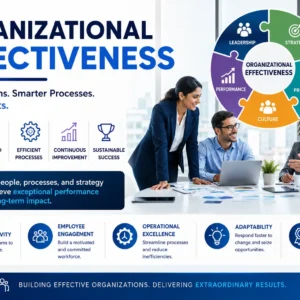 Educational banner for Organizational Effectiveness course featuring leadership and efficiency visuals