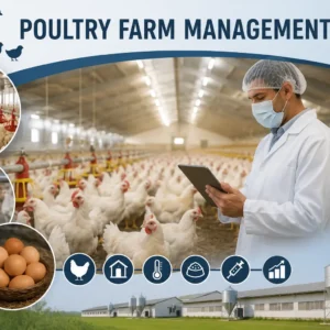 Poultry Farm Management course banner showing poultry care, feeding, and farm operations